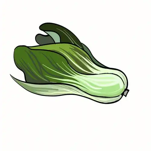 小白菜简笔画教学