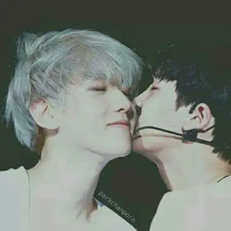 让我们来看看当年exo虐狗的图片