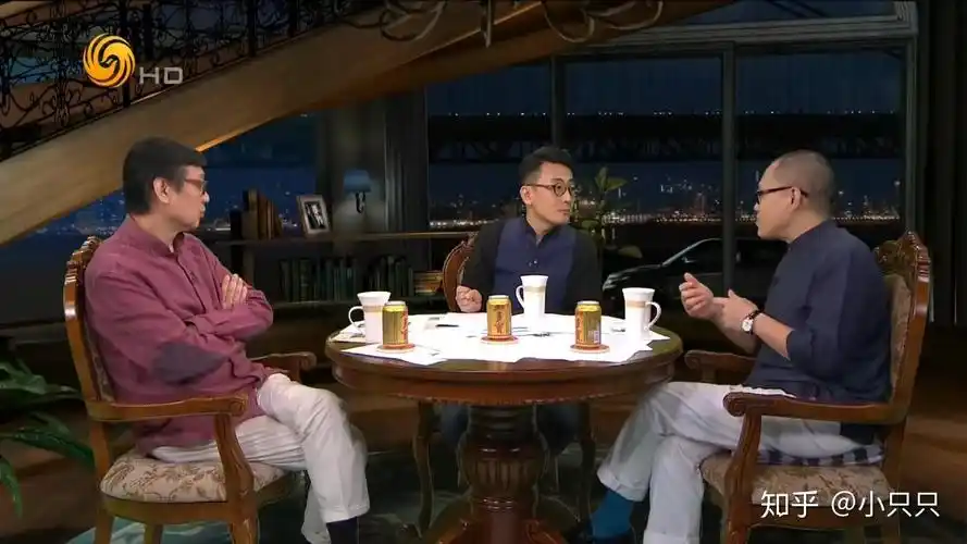 著名的访谈节目推荐能够提升自我的高质量节目