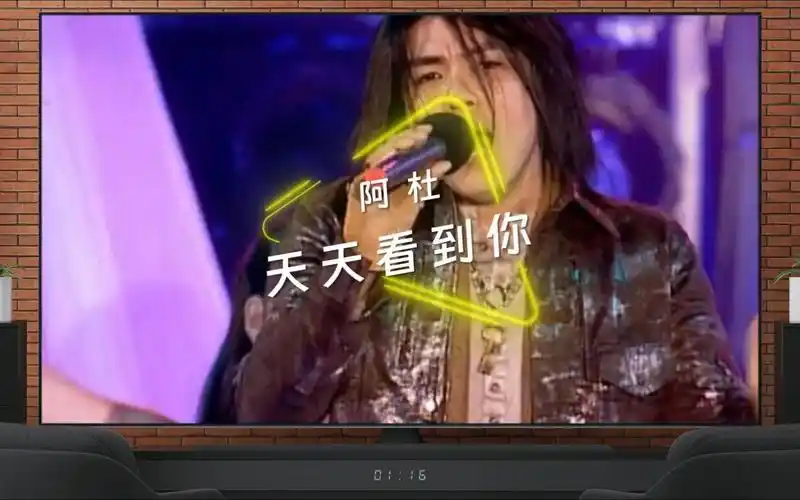 【天天看到你】阿杜|演唱会现场 61 live版