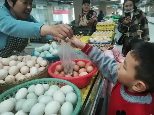 宝贝当家之买菜——平昌幼儿园中一班
