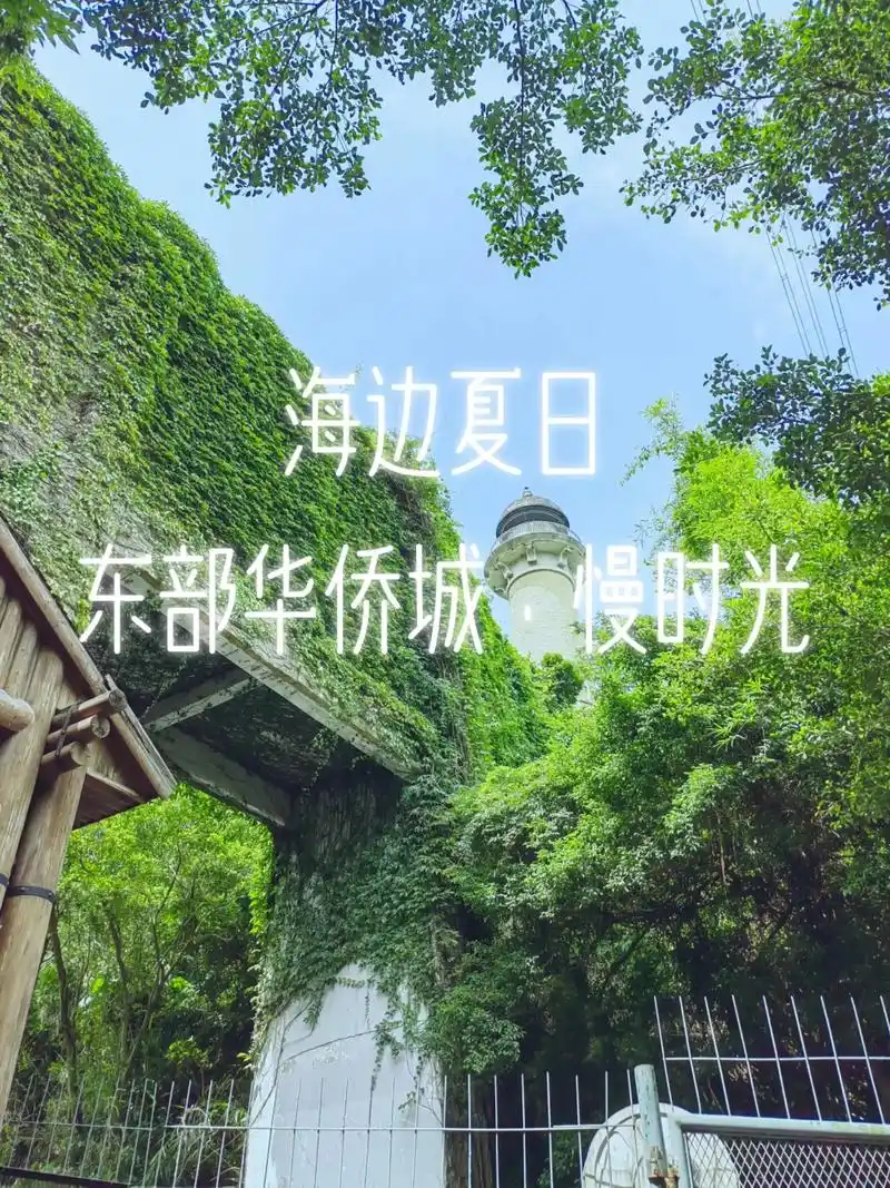 海边夏日 东部华侨城大侠谷慢时光.