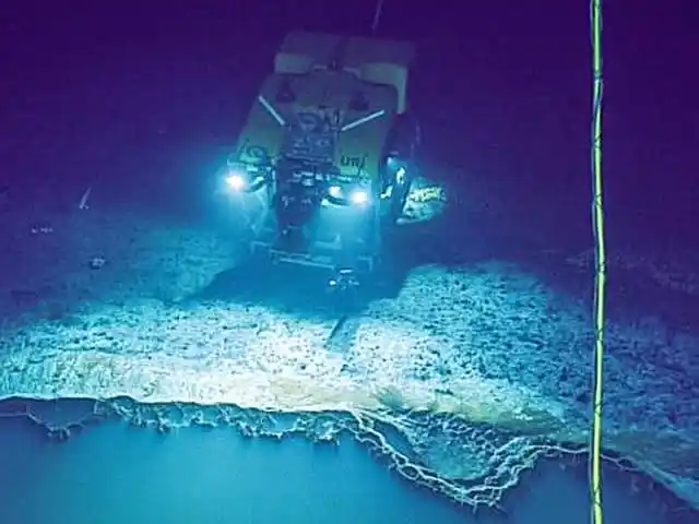 墨西哥湾现神秘海底湖,所有生物不敢靠近,简直生命禁区!