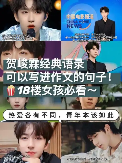 贺峻霖经典语录可以写进作文的句子