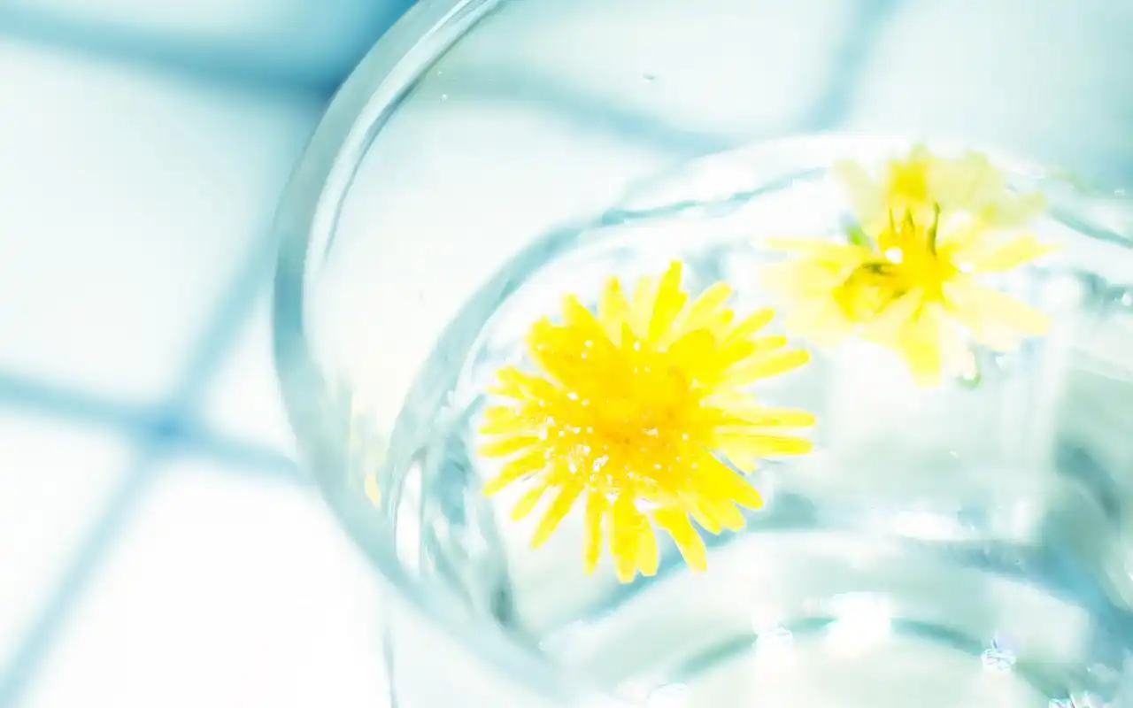 日系小清新唯美静物图片桌面壁纸