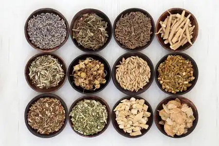 黄芩中药中药对焦虑和睡眠障碍照片