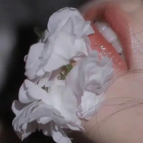 期盼与你赴约没人规定一朵花必须长成向日葵或玫瑰未完待续~我是阿尧