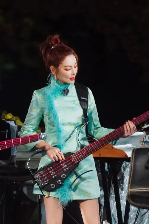 张雨绮羽毛旗袍造型