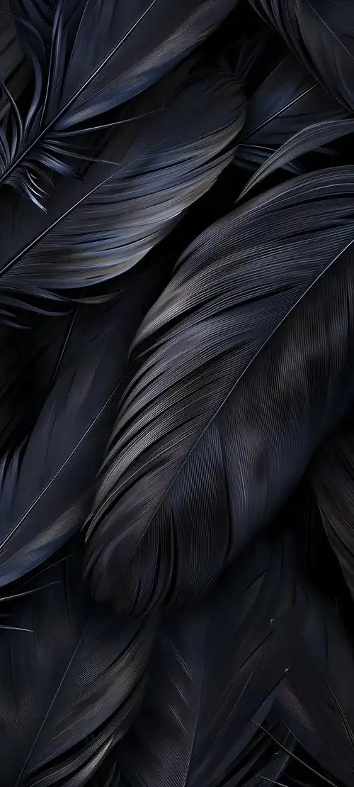 手机壁纸个性简约高清壁纸原图适配苹果iphone14