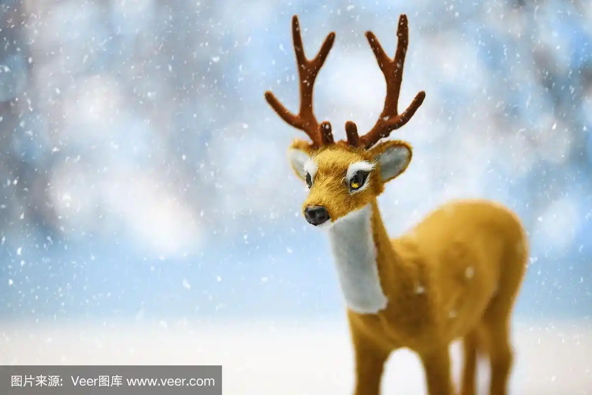 可爱的小驯鹿在一个散焦的冬季景观背景