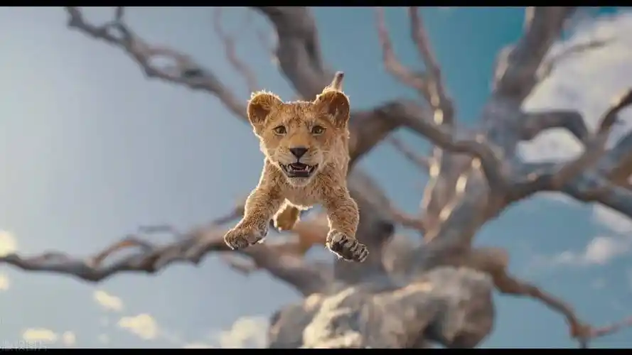 电影《 狮子王:木法沙传奇》深度解析