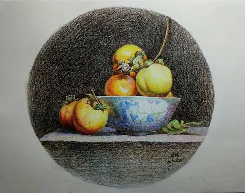 彩铅练习～静物柿子