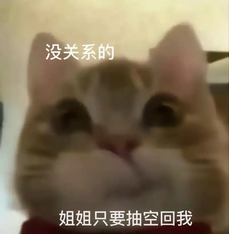 姐姐在忙也要注意身体 不然我会心疼的#表情包 #歪嘴小猫 # - 抖音