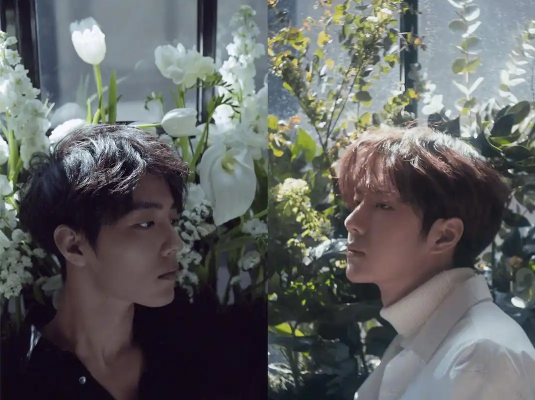 肖战王一博的芭莎电子刊来了!