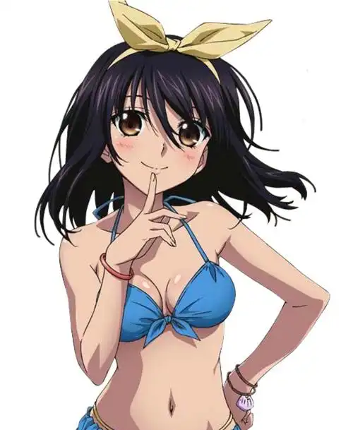 雪狼剑巫姬柊雪菜图包