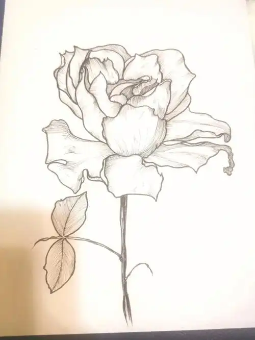 零基础学画画83含步骤