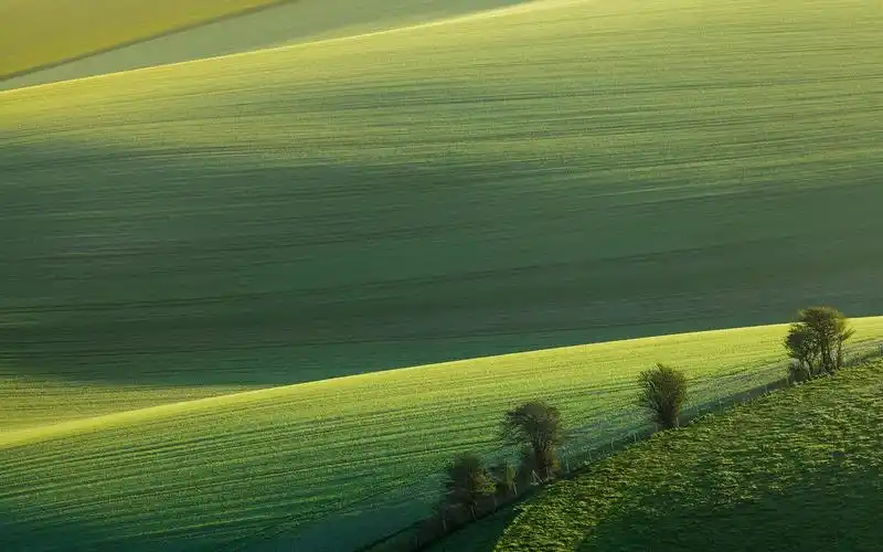 护眼绿色草原,高清图片,电脑桌面-壁纸族