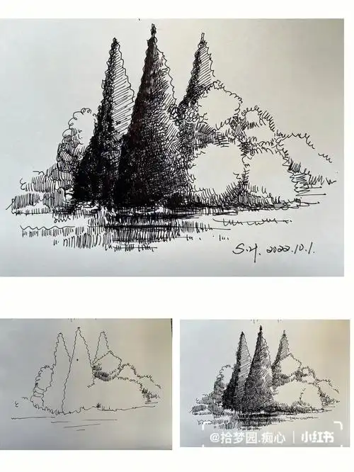 钢笔画p178树丛图文版