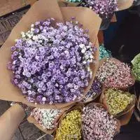 头像花满天星图片