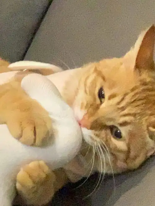 我的脚有这么好吃吗08