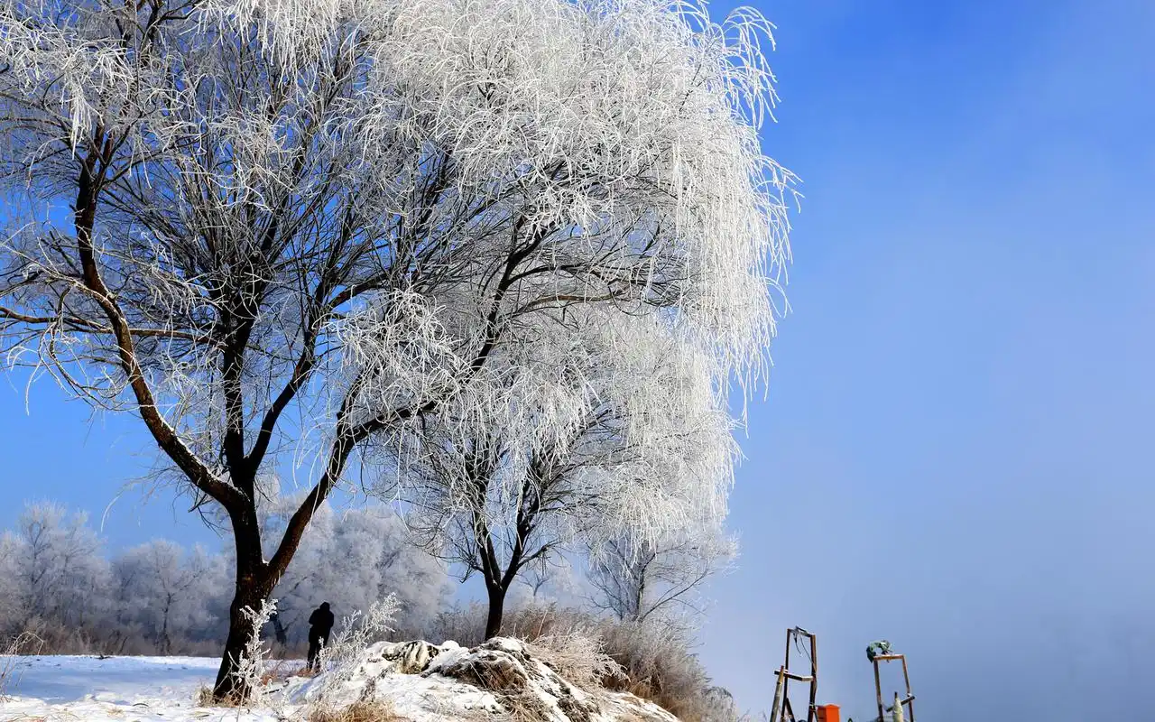 吉林雾凇岛风景图片电脑桌面壁纸下载