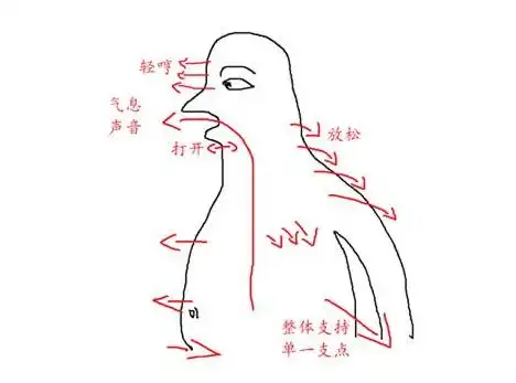 明白共鸣腔,让你唱歌的声音更好听