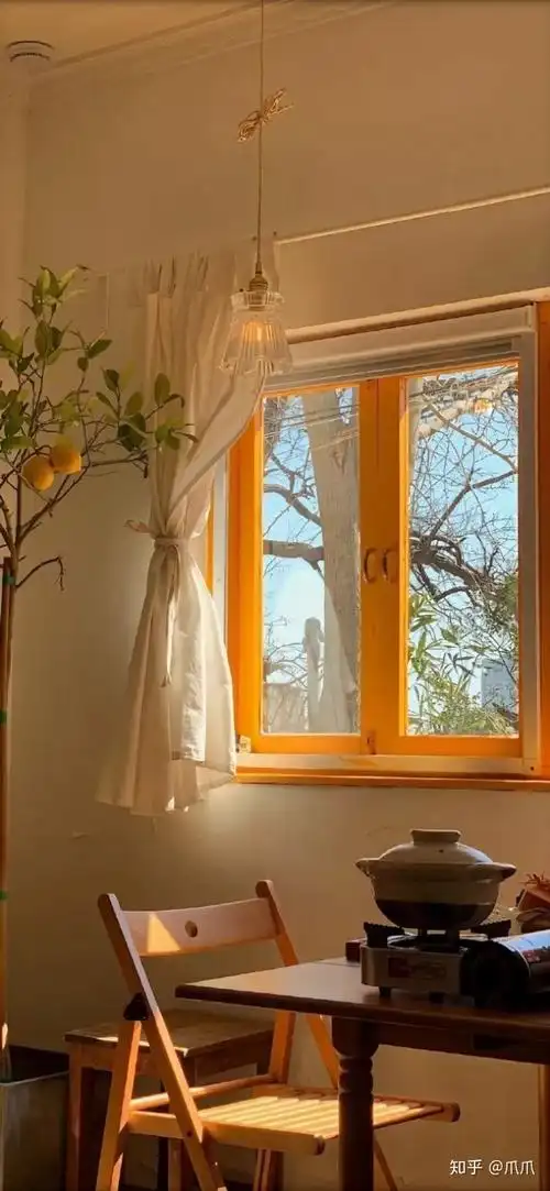 跪求电脑壁纸,内容是有窗户,桌面,阳光,窗外树叶,老居民楼等等?