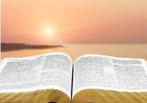 圣经,书本,特写