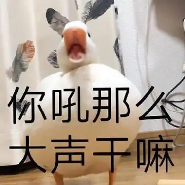 最近流行的鸭子表情包头像图片