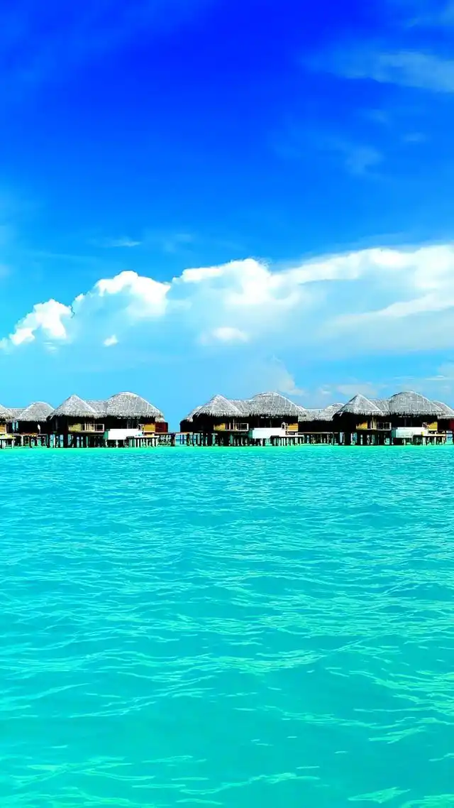 壁纸解读丨看最美的风景,开最好的汽车