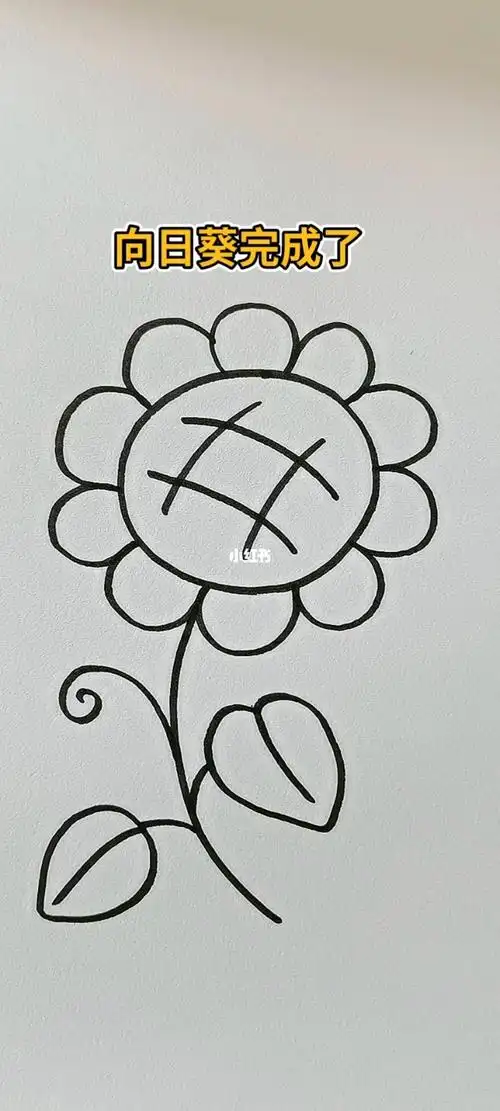 这样画向日葵特别简单