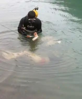 湖南两初中女生水库溺亡 网友表示:郊游野泳真危险! / 比乐族