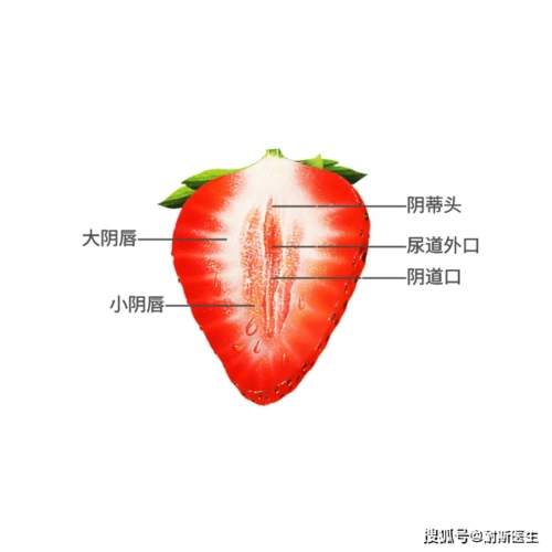 不洗内裤竟然还会患癌?_外阴