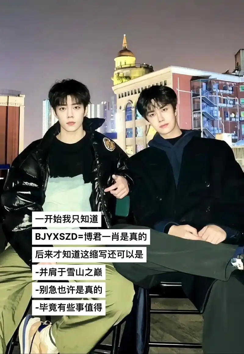 属于我们的七字箴言#博君一肖 #王一博肖战 #bjyxsz - 抖音