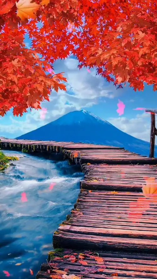 唯美意境 #片片枫叶情