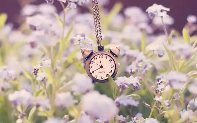 时光流逝 岁月永存心中 唯美意境怀表图片