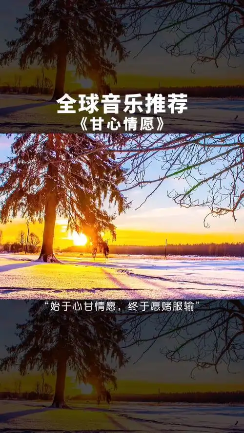 始于心甘情愿,终于愿赌服输