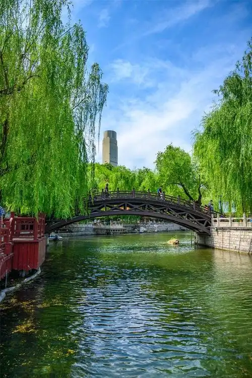 关于春天的照片春天自然风景真实照片