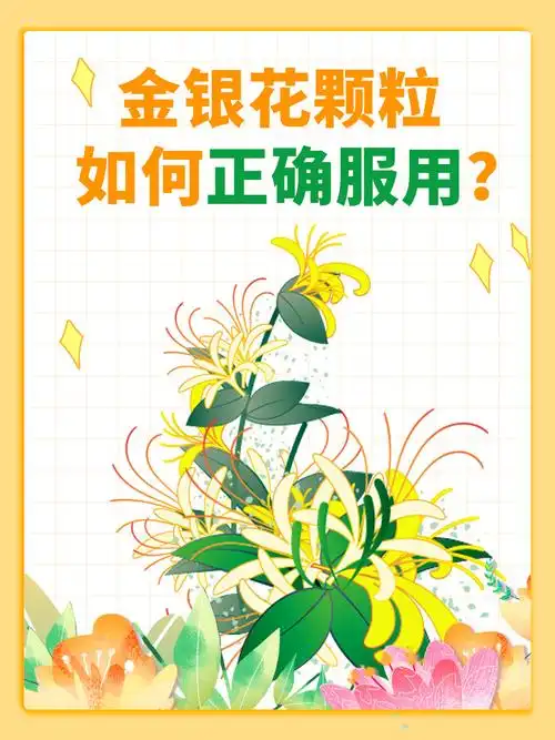 金银花颗粒,如何正确服用?
