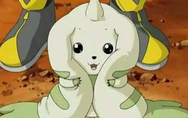 【数码宝贝】大耳兽/黑大耳兽的可爱日常cut_哔哩哔哩_bilibili