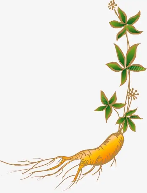 搜图中国提供优质高清原创设计素材免费下载卡通人参主要针对元素所