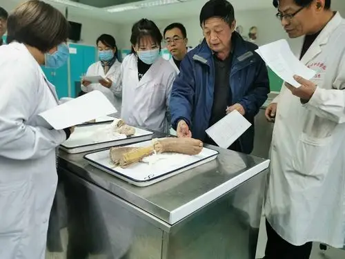 基础医学院举办第二届"育林杯"希望之星人体标本现场制作大赛决赛