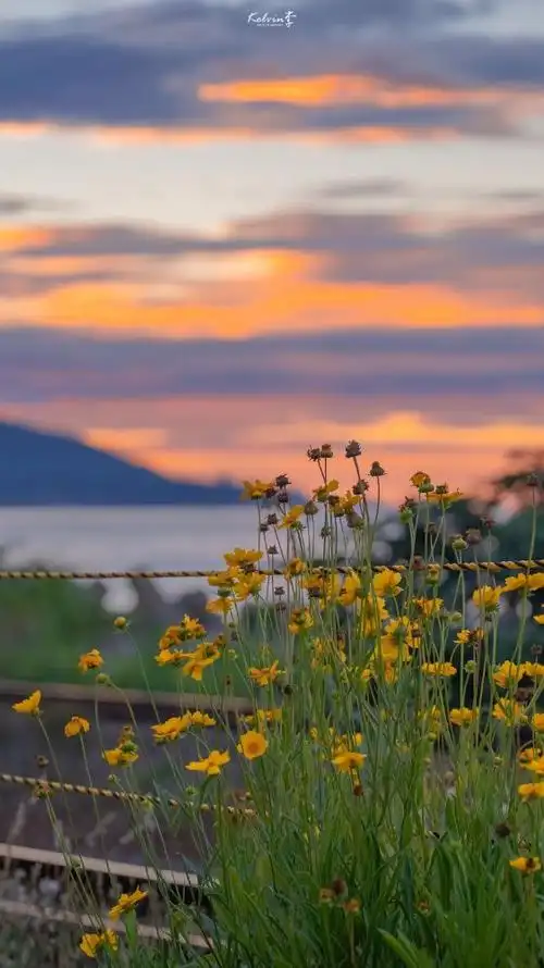 高级有内涵的文案