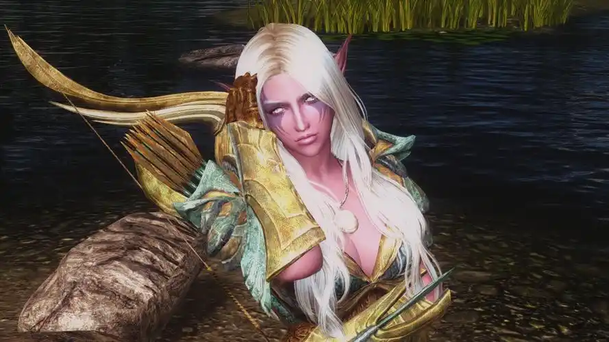 上古卷轴5天际随从mod暗夜精灵卡多雷