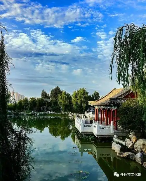 任丘市随手拍绿化摄影作品展开展啦