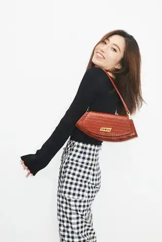 女明星的百元同款包,真香!|包包|包身|牛角包_新浪新闻