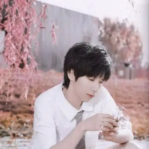 贺峻霖头像时代少年团之贺峻霖头像破局而出贺