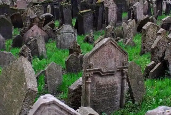 地球上10大最毛骨悚然的恐怖地带军舰岛上榜第一是自杀森林