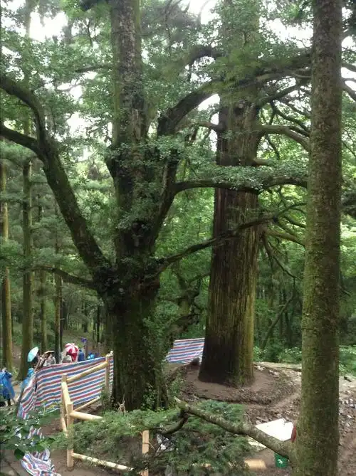婺源,九江,庐山,景德镇