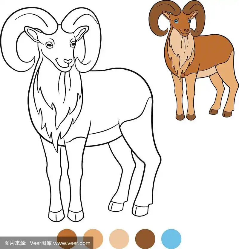 颜色我:东方盘羊.可爱漂亮的大角尿壶.